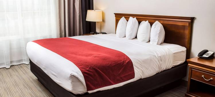 温彻斯特丽怡酒店(Country Inn & Suites by Radisson, Winchester, VA)图片