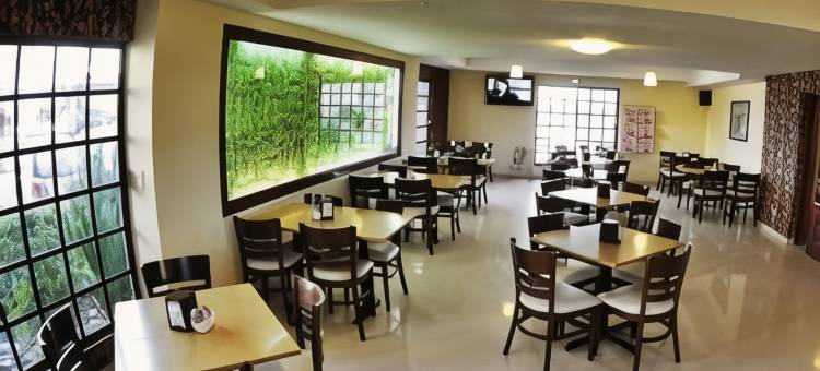 昆塔多拉达酒店&套房(Quinta Dorada Hotel & Suites)图片