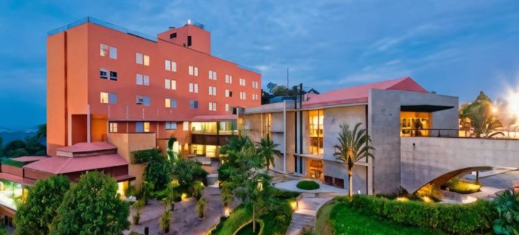 希尔顿织锦系列的Almenat Embu das Artes(Almenat Embu Das Artes, Tapestry Collection by Hilton)图片