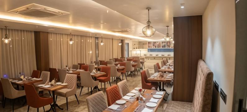 普莱德精英达曼酒店(Pride Elite Daman)图片