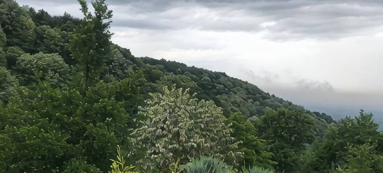 峡谷酒店及度假村(The Canyon Kartepe and Restoran)图片