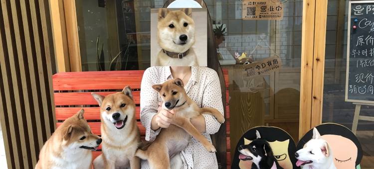 厦门我们三·山河与海亲子度假民宿图片