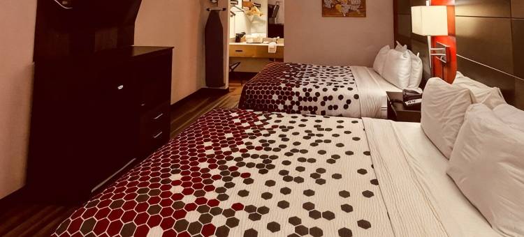 伊科诺旅馆和套房市区圣安东尼奥河滨区(Econo Lodge Inn & Suites Downtown San Antonio Riverwalk Area)图片
