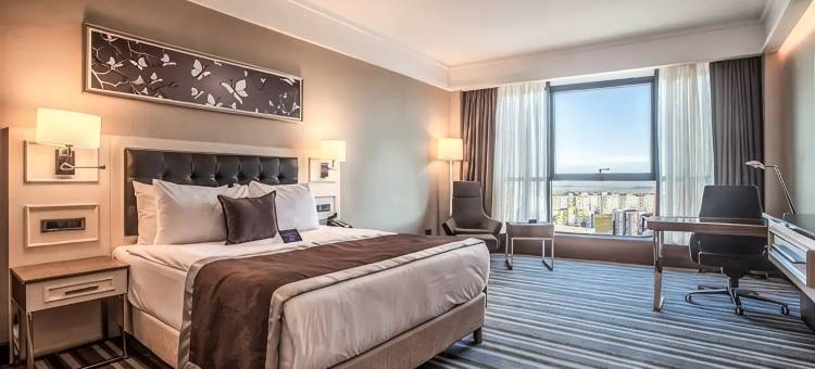 迪亚巴克尔丽笙蓝标酒店(Radisson Blu Hotel Diyarbakir, Turkey)图片
