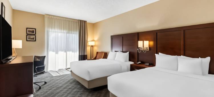 罗斯韦尔-邓伍迪舒适酒店(Comfort Inn Roswell-Dunwoody)图片