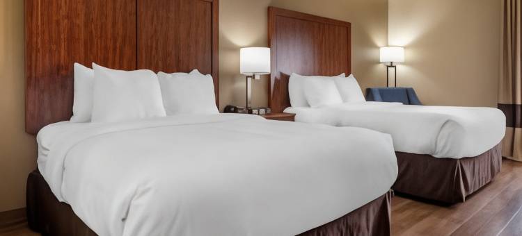 伯明翰霍姆伍德舒适酒店(Comfort Inn Birmingham Homewood)图片