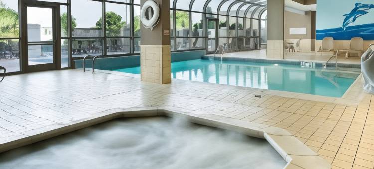 圣路易斯-切斯特菲尔德德鲁里广场酒店(Drury Plaza Hotel St. Louis Chesterfield)图片