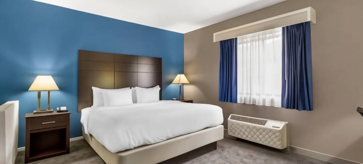 曼德林 - 弗农希尔斯舒适套房酒店(Comfort Inn & Suites Mundelein-Vernon Hills)图片