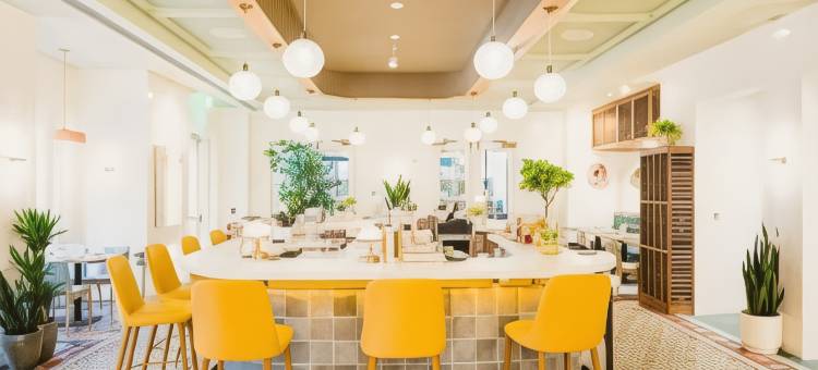 查尔斯顿林迪万丽酒店(The Lindy Renaissance Charleston Hotel)图片