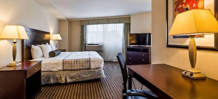 费城机场南-威得恩大学贝斯特韦斯特优质酒店(Best Western Plus Philadelphia Airport South at Widener University)图片