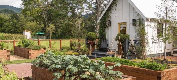 朱莱普农场的小屋(Cottages at Julep Farms)图片