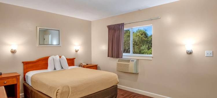 坦帕湾长住-机场酒店(Tampa Bay Extended Stay - Airport)图片