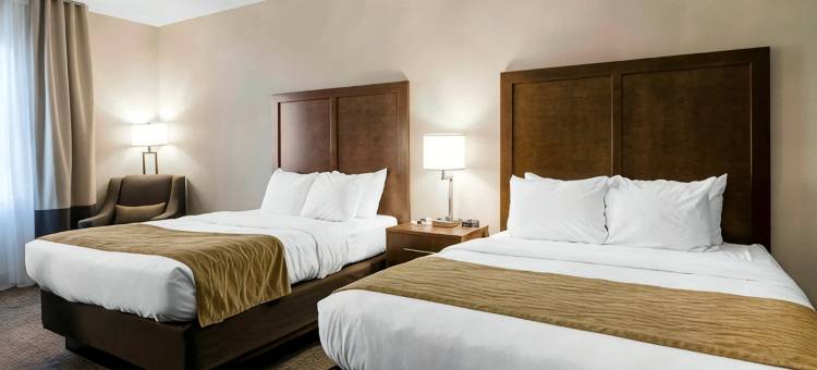 舒适套房酒店(Comfort Inn & Suites)图片
