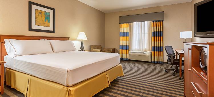 智选假日套房酒店曼特卡南 - 斯托克顿区(Holiday Inn Express & Suites Manteca City Center)图片