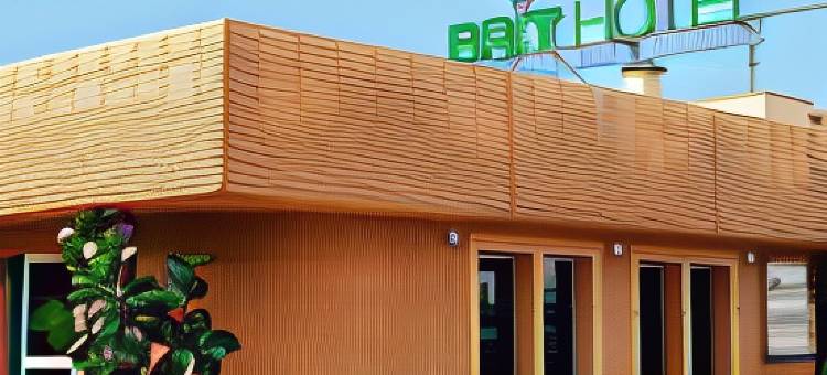 卡斯特尔布里特酒店(Brit Hotel Confort Castres)图片