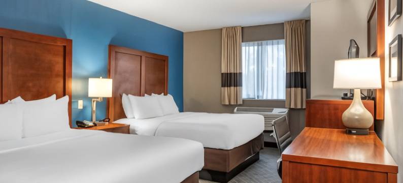 大学舒适酒店(Comfort Inn University)图片