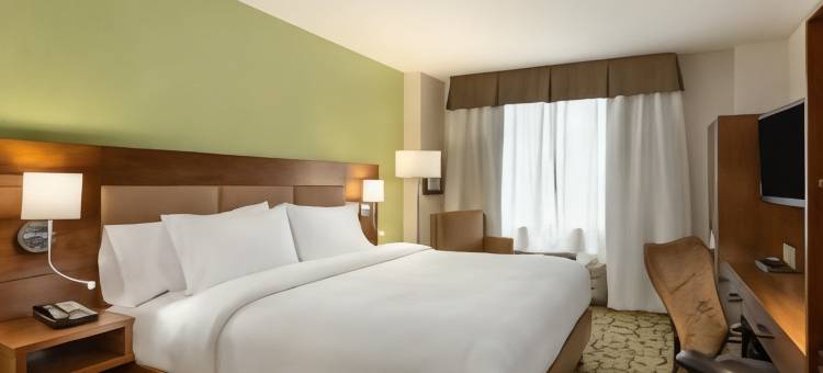 纽约曼哈顿中城东部希尔顿花园酒店(Hilton Garden Inn New York Manhattan Midtown East)图片