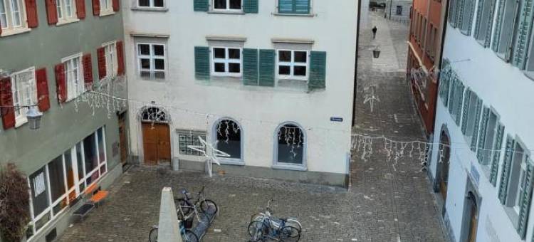 祖夫索奥斯勒硫腾旅馆(Zunfthaus Zur Rebleuten)图片