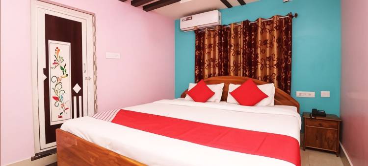 阿尤什国际酒店(Hotel Ayush International)图片