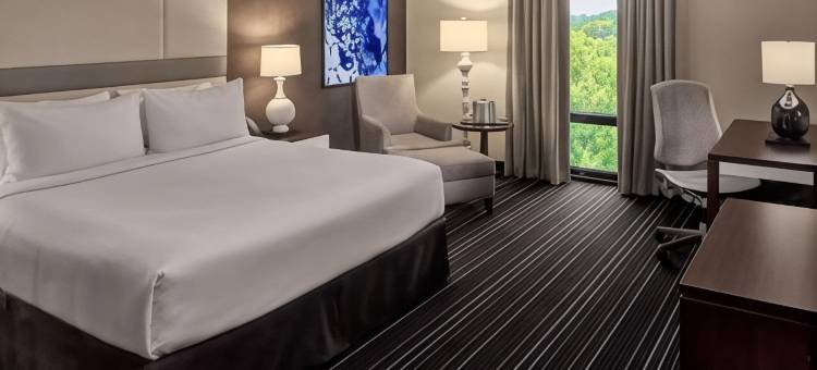 索内斯塔亚特兰大西北马里埃塔 - 电池(Sonesta Atlanta Northwest Galleria – Marietta)图片