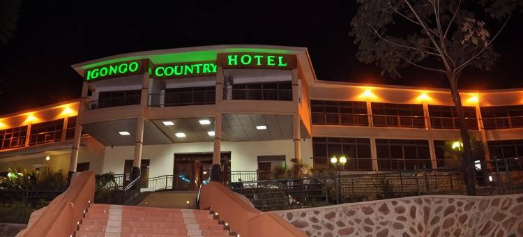 伊贡戈文化中心和乡村酒店(Igongo Country Hotel and  Cultural Centre)图片