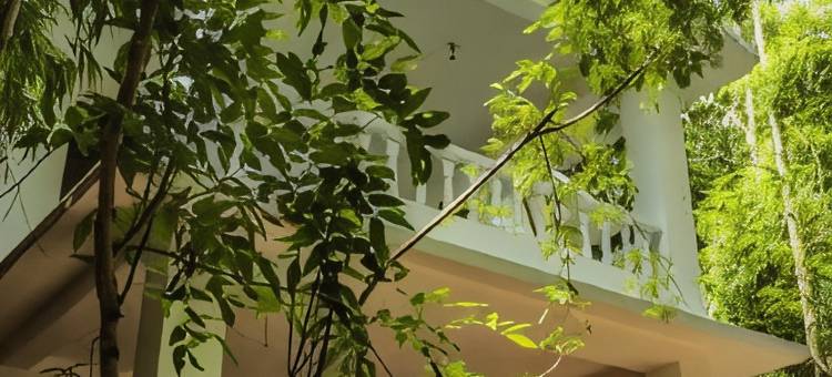 潘纳老虎度假村 - 河边物业(Panna Tiger Resort- Riverside Property)图片