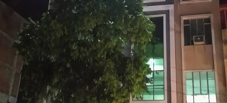 希里哈里酒店(Hotel Shree Hari)图片