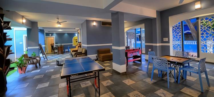 TreeHouse Nova 树屋诺瓦(TreeHouse Nova)图片