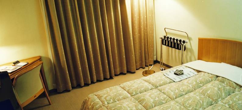 越前屋酒店(Echizenya Hotel)图片