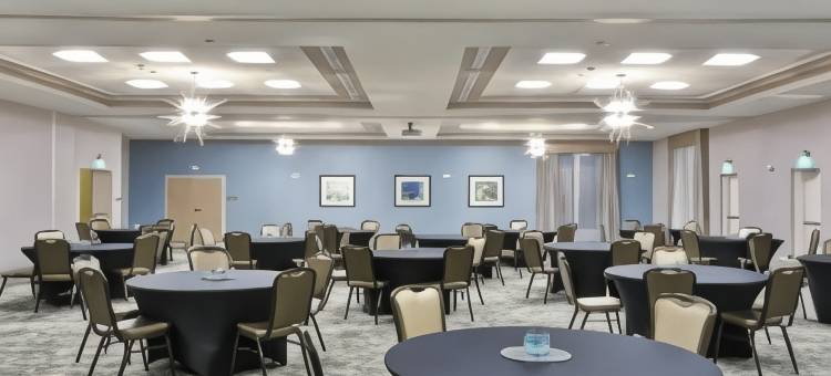 休斯顿霍比机场希尔顿花园酒店(Hilton Garden Inn Houston Hobby Airport)图片