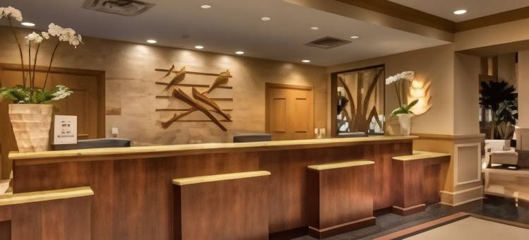 希尔顿巴吞鲁日国会中心酒店(Hilton Baton Rouge Capitol Center)图片