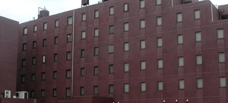 入间第一酒店(Iruma Dai-Ich Hotel)图片