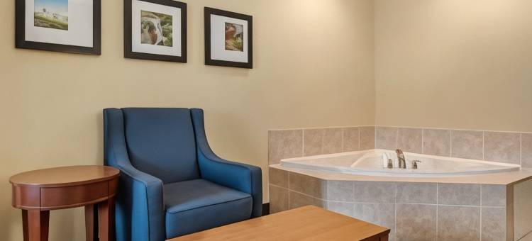 代顿赖特帕特森舒适酒店(Comfort Suites Dayton-Wright Patterson)图片