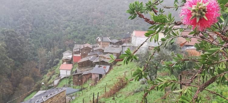 Casa do Avô Álvaro - Retreat of the King图片