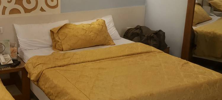 Mt.Fuji Homestay Leoya图片