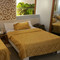 Mt.Fuji Homestay Leoya