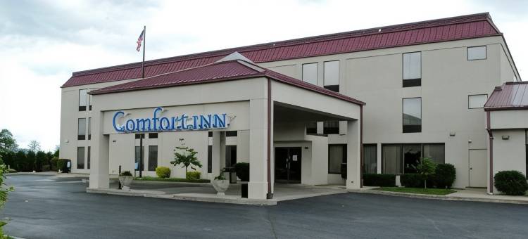 金斯兰凯艺酒店(Quality Inn Kingsland)图片