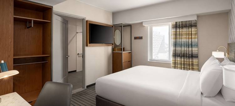 Hampton Inn Long Island City NY图片