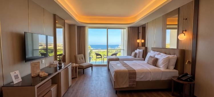 阿卡普尔科会议水疗度假村(Acapulco Resort Convention Spa)图片