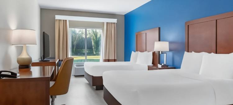 奥兰多北舒适套房酒店(Comfort Inn & Suites Orlando North)图片