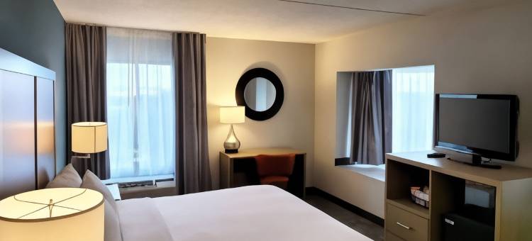 亚历山德里亚西部舒适酒店及套房(Comfort Inn & Suites Alexandria West)图片
