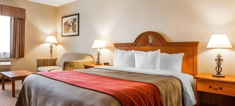 凯艺酒店(Quality Inn)图片