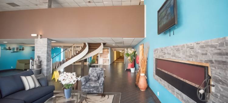 莱特堡辛辛那提地区戴斯酒店(Days Inn by Wyndham Fort Wright Cincinnati Area)图片