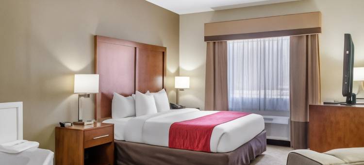 卡温顿-曼德维尔舒适套房酒店(Comfort Inn & Suites Covington - Mandeville)图片