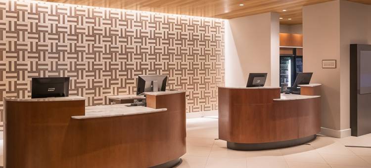 达拉斯喜来登画廊酒店(Sheraton Dallas Hotel by the Galleria)图片
