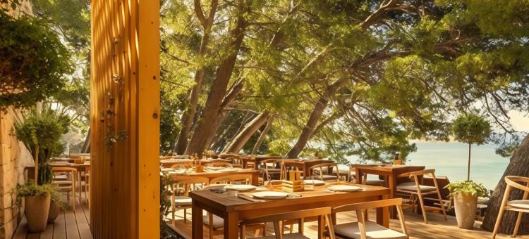 [PLACES] 达尔马提亚 by Valamar(Dalmacija Places Hotel by Valamar)图片