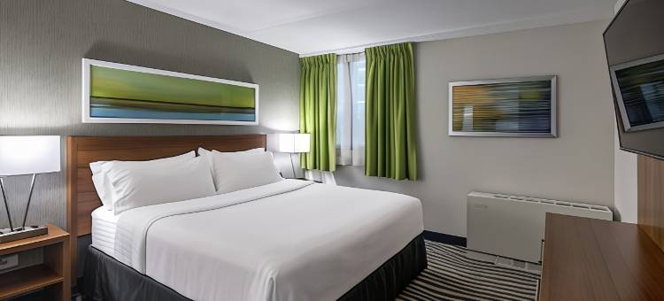 Holiday Inn 温尼伯的机场西(Holiday Inn Winnipeg - Airport West)图片