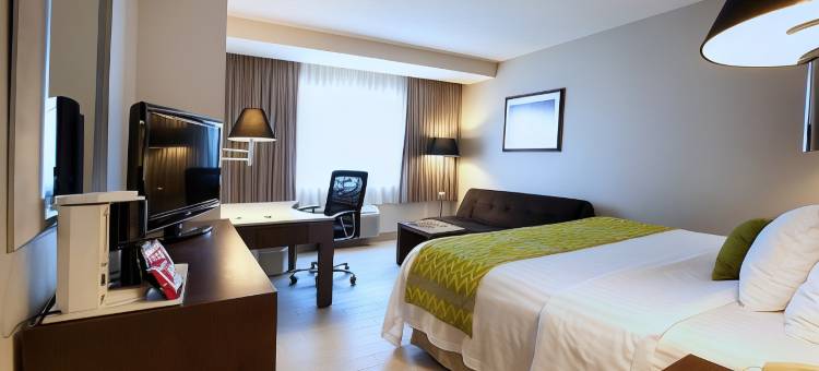 Holiday Inn 普埃布拉拉诺里亚(Holiday Inn Puebla la Noria)图片