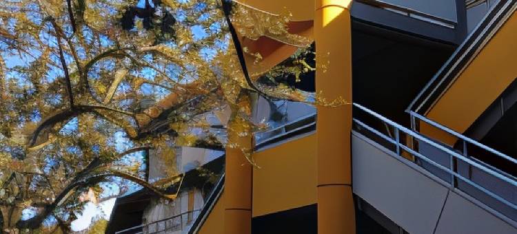 马恩河谷酒店(Premiere Classe Marne la Vallee - Torcy)图片