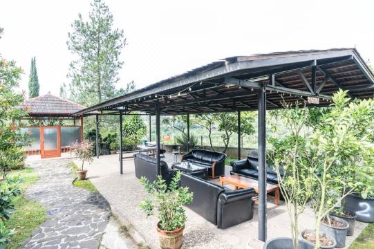 Villa Amo Hotel Overview